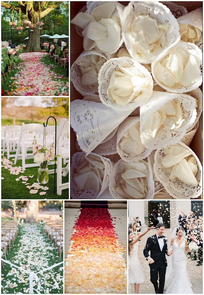 Petal Inspiration