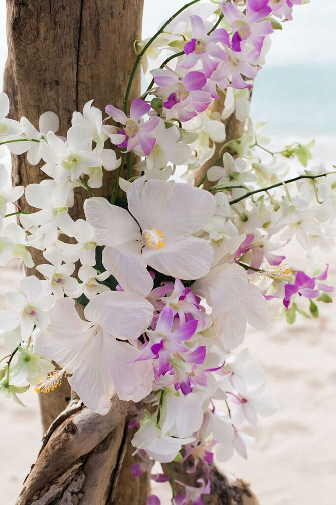 Speightstown beach wedding- Weddings By Malissa Barbados 